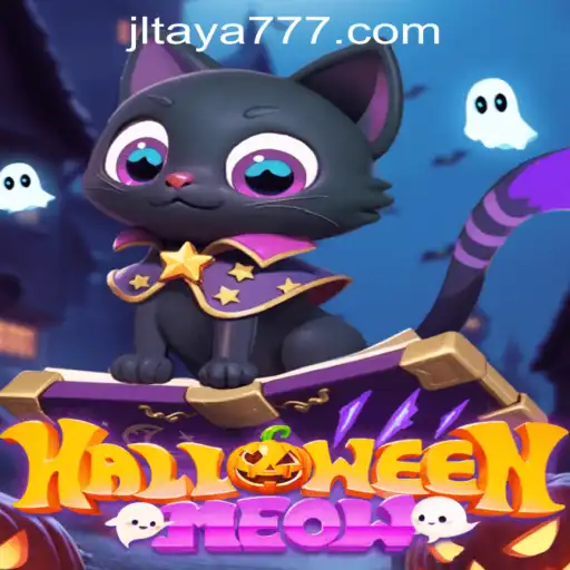 HalloweenMeow: Unveiling the Spook-Tacular Adventure